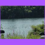 Lunch By The River.jpg